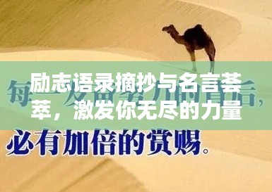 励志语录摘抄与名言荟萃，激发你无尽的力量源泉