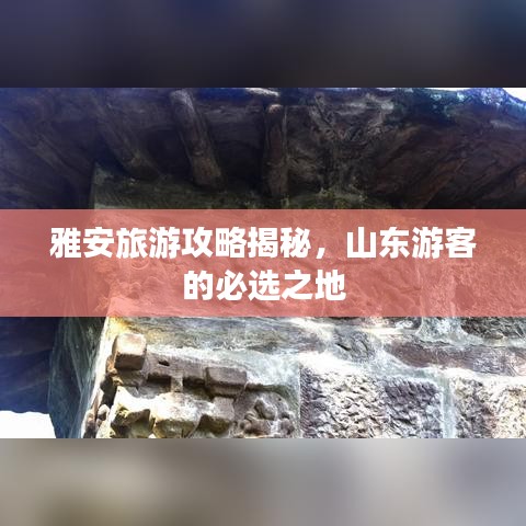 雅安旅游攻略揭秘，山东游客的必选之地