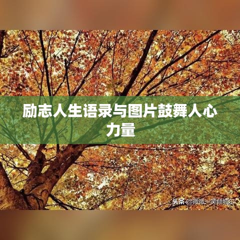 励志人生语录与图片鼓舞人心力量