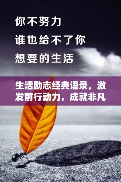 生活励志经典语录，激发前行动力，成就非凡人生