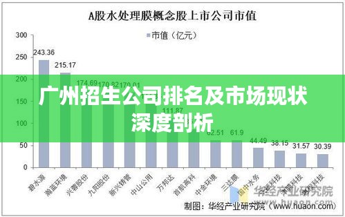 广州招生公司排名及市场现状深度剖析