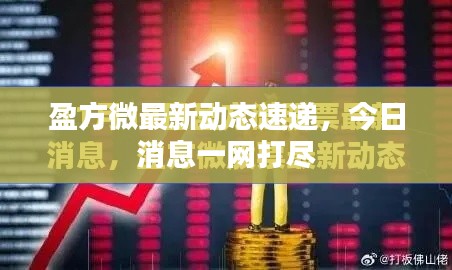 盈方微最新动态速递，今日消息一网打尽