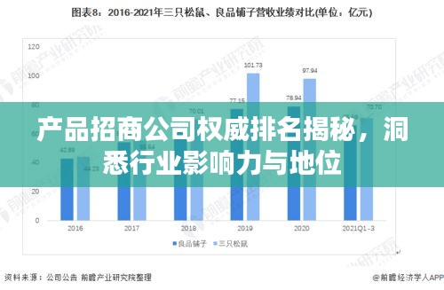 产品招商公司权威排名揭秘，洞悉行业影响力与地位