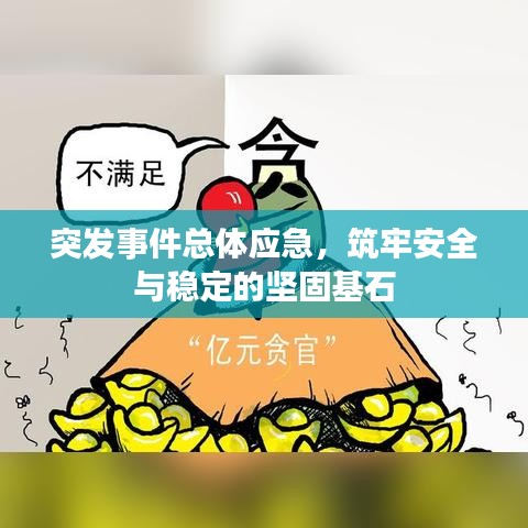 突发事件总体应急，筑牢安全与稳定的坚固基石