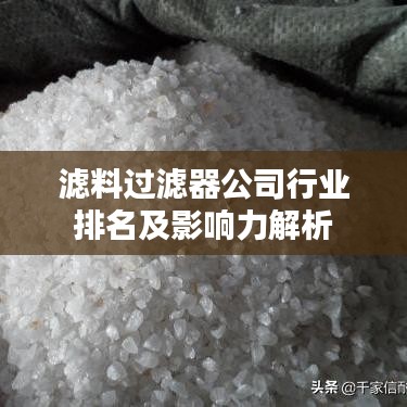 滤料过滤器公司行业排名及影响力解析