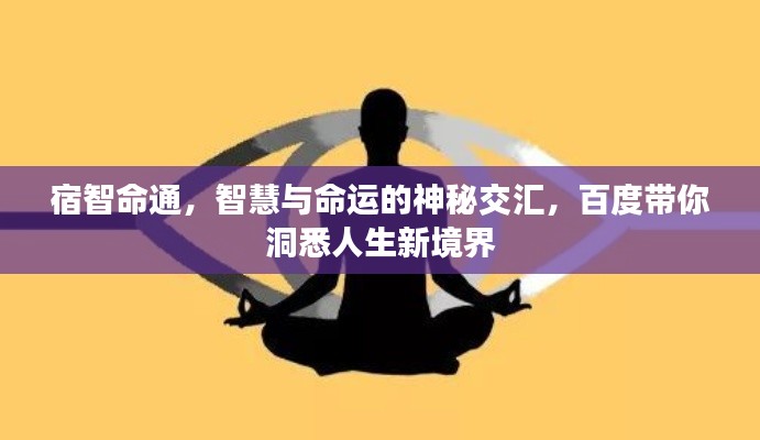 宿智命通，智慧与命运的神秘交汇，百度带你洞悉人生新境界