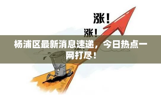 杨浦区最新消息速递，今日热点一网打尽！