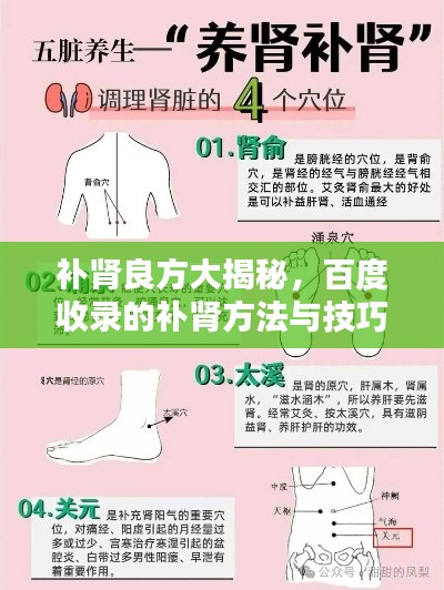 补肾良方大揭秘，百度收录的补肾方法与技巧