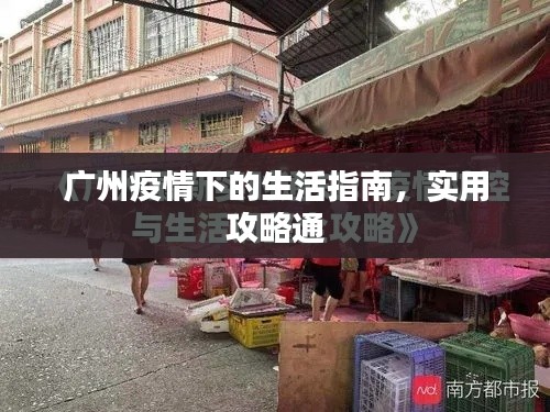 广州疫情下的生活指南，实用攻略通