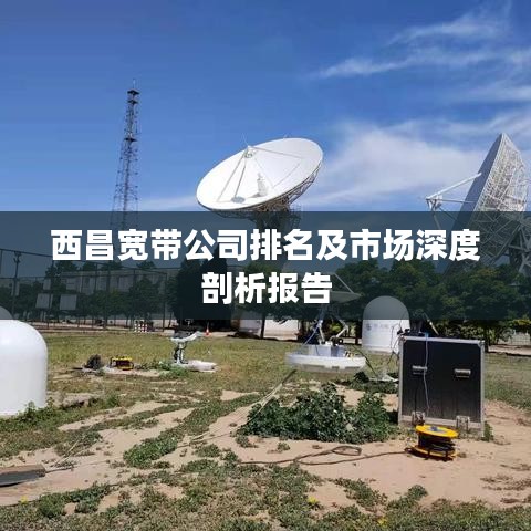 西昌宽带公司排名及市场深度剖析报告