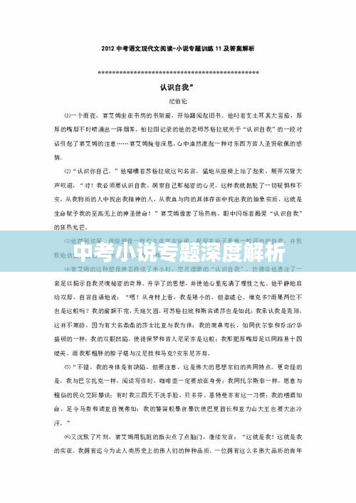 中考小说专题深度解析