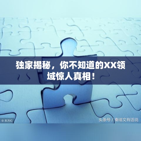 独家揭秘，你不知道的XX领域惊人真相！