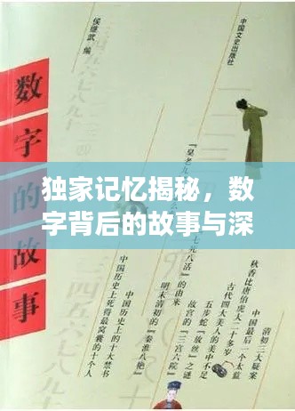 独家记忆揭秘，数字背后的故事与深意探寻