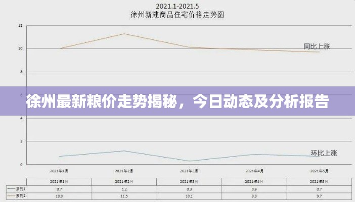 徐州最新粮价走势揭秘，今日动态及分析报告