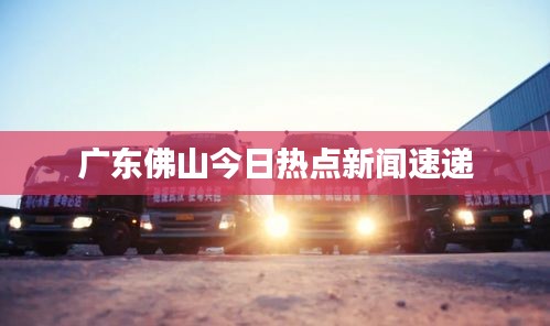 广东佛山今日热点新闻速递