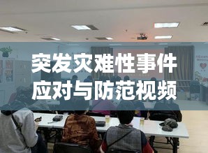 突发灾难性事件应对与防范视频讲座，专家解析，提升应急能力