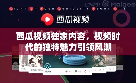 西瓜视频独家内容，视频时代的独特魅力引领风潮