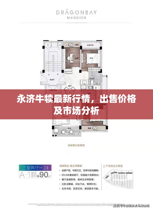 永济牛犊最新行情，出售价格及市场分析