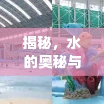 揭秘，水的奥秘与未知探索之旅