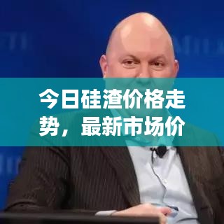 今日硅渣价格走势，最新市场价格分析与预测