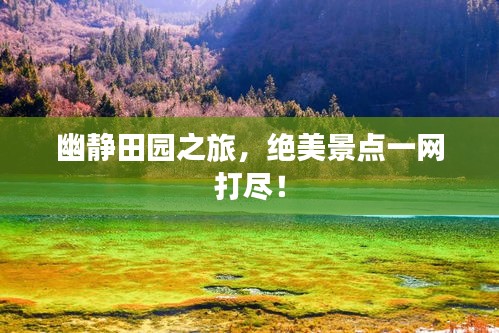 幽静田园之旅，绝美景点一网打尽！