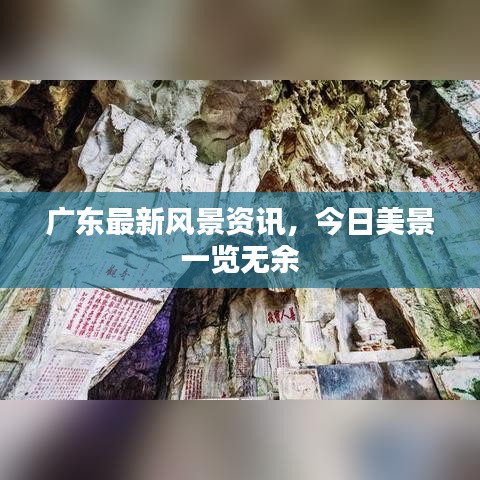 广东最新风景资讯，今日美景一览无余