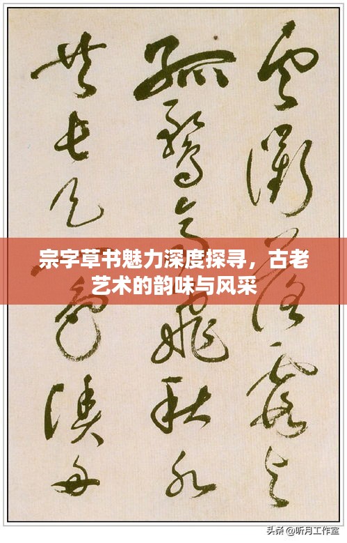 宗字草书魅力深度探寻，古老艺术的韵味与风采