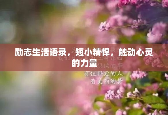 励志生活语录，短小精悍，触动心灵的力量