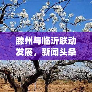 滕州与临沂联动发展，新闻头条下的区域合作新篇章