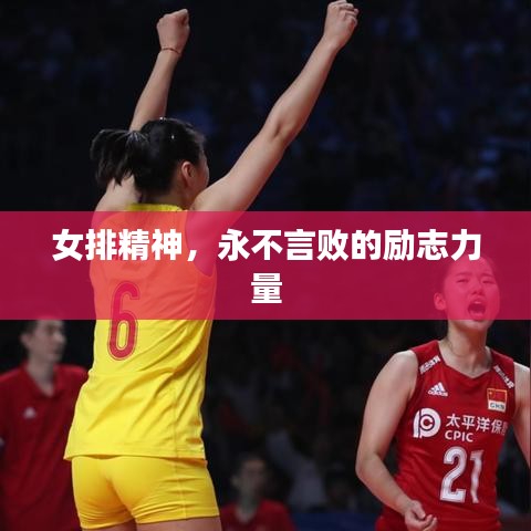 女排精神，永不言败的励志力量