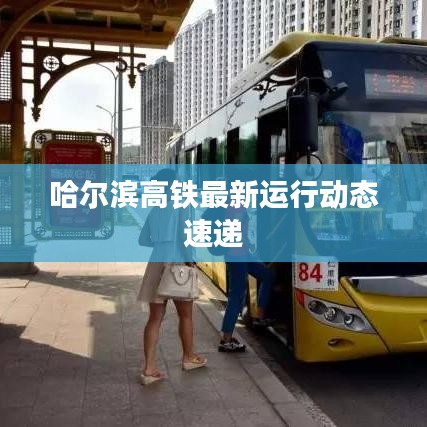 哈尔滨高铁最新运行动态速递