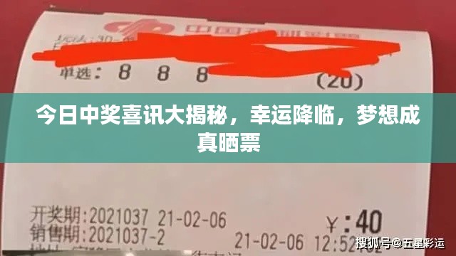 今日中奖喜讯大揭秘，幸运降临，梦想成真晒票
